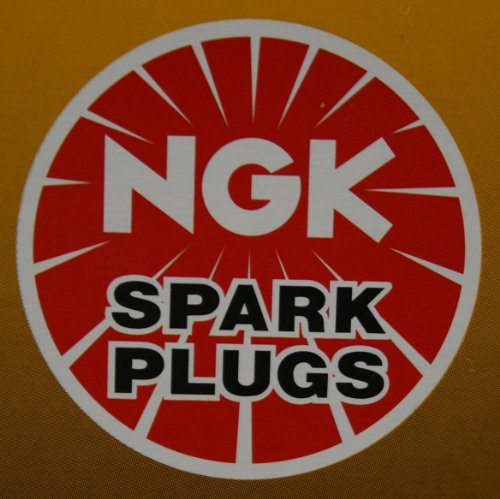 NGK (3754) TR4 Spark Plug - Pack of 4