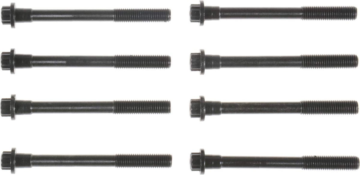 Victor Reinz 14-32392-01 Engine Cylinder Head Bolt Set