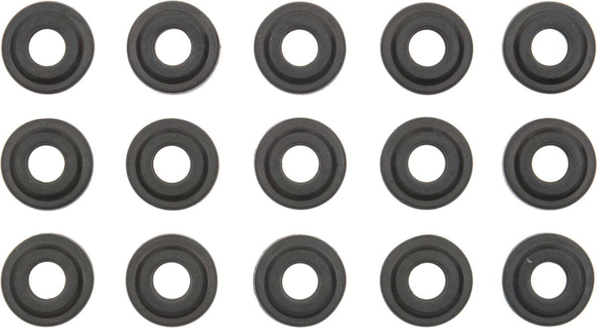 Victor Reinz 15-33388-01 Engine Valve Cover Grommet Set