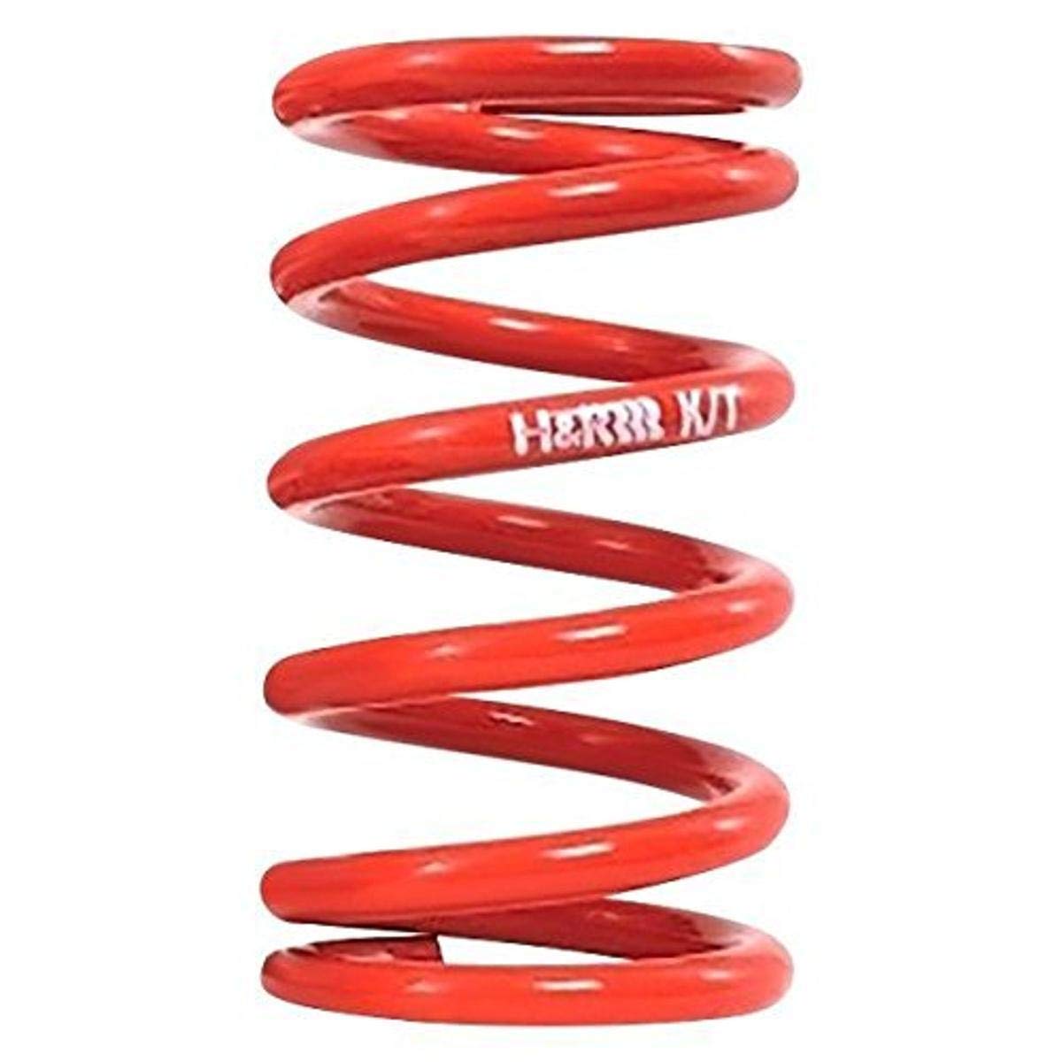 H&R (R25120325) 2.5" ID Race Spring