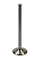 Brodix BR 60154 Exhaust Valve
