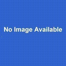 Dorman/Techoice 110-200 Auto Part
