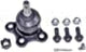 Dorman Pronto BJ62016 Suspension Ball Joint