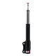 QA1 Proma Star Adjustable Coilover Strut - Double Adjustable - 2005-2014 Ford Mustang