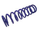 Draco Racing DRA.L8.1.875.300 Coil Over Spring