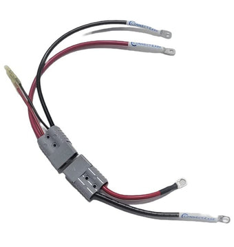 compare product Connect-Ease Ignite 24, 24V Lithium Battery Kit w/Onboard Charging