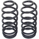 RockJock 3 in. Coil Springs