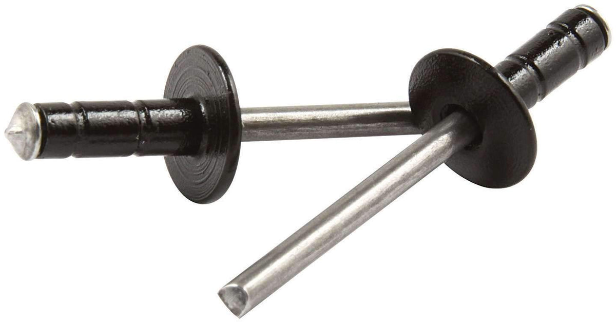 Allstar Performance ALL18091 Black 1/16" to 3/8" Range Multi-Grip Style Medium Head Rivet with Steel Mandrel, (Pack of 250)