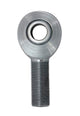 COMP.ENG/MOR 6155 Hood Lift Support
