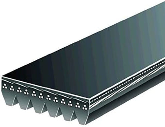compare product Gates V-Ribbed Belt