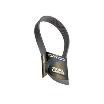 compare product Poly Rib Belt, 5101010