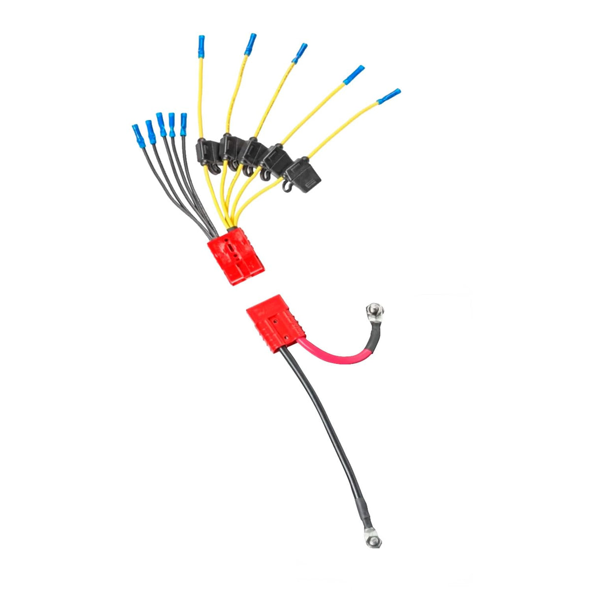 Connect-Ease 5-Lead Fused 12V Battery Connector Kit, 50A Main