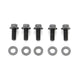 ARP Black Oxide 5/16-18 x 0.750 12pt Bolts