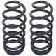 RockJock 3 in. Coil Springs