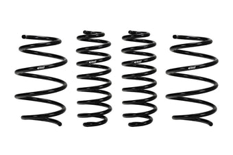 compare product Eibach E10-82-082-01-22 PRO-KIT Performance Springs (Set of 4 Springs), Black