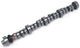 Edelbrock 2221 RPM Roller Camshaft Hydraulic