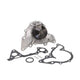 Dayco DP916 Water Pump Kit