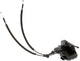 Dorman 937-280 Front Driver Side Door Lock Actuator Motor