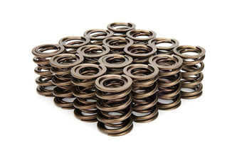 compare product Crower 68404-16 Valve Springs - Dual 1.405