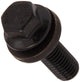 Sbc/Geniii Ls 1/4 Flange