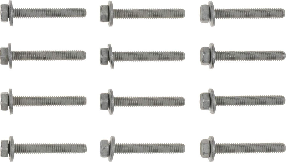 Victor Reinz 16-10002-01 Engine Intake Manifold Bolt Set