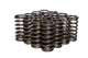COMP Cams (973-16) .970" O.D. Single Inner Valve Spring, (Set of 16)