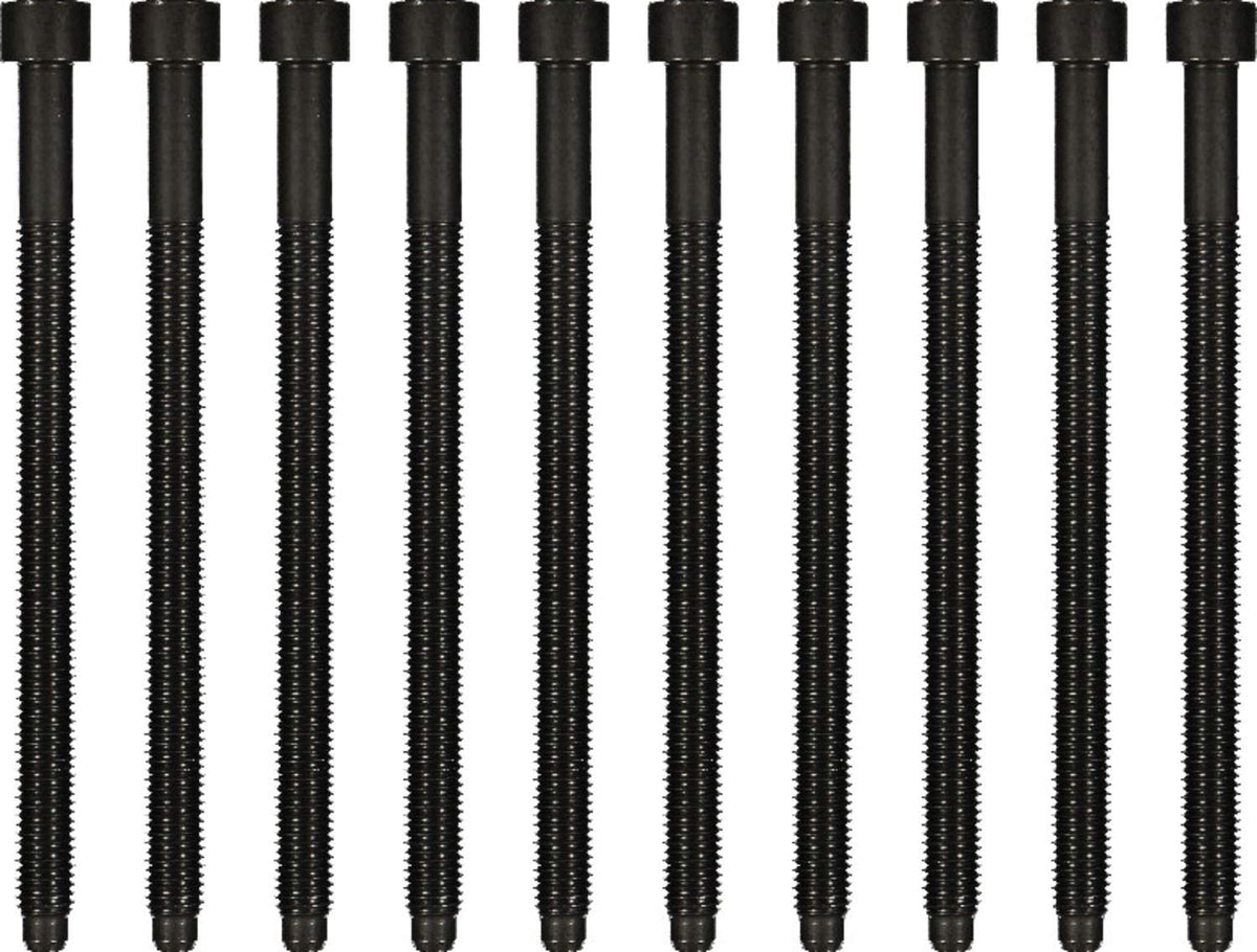 Victor Reinz 14-32121-01 Engine Cylinder Head Bolt Set
