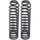 RockJock 4 in. Coil Springs