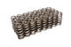 COMP Cams 26113-32 Valve Spring (Ford 4.6L 2Valve Sohc)