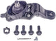 Dorman MAS BJ74303 Ball Joint (2004-07 Toyota Sequoia Fllo 2004-06 Toyota Tundra Fllo)