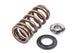 APR - Valve Spring Kit, Individual (MS100258)