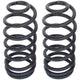 RockJock 4 in. Coil Springs