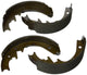 Raybestos 481PG Professional Grade Drum Brake Shoe Set