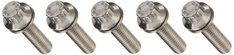 compare product ARP 6121250 Stainless Steel 5/16-18 12-Point Bolts - Pack of 5