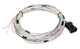 Holley EFI Wiring Harness, J1A/B, Holley Dominator EFI, Each